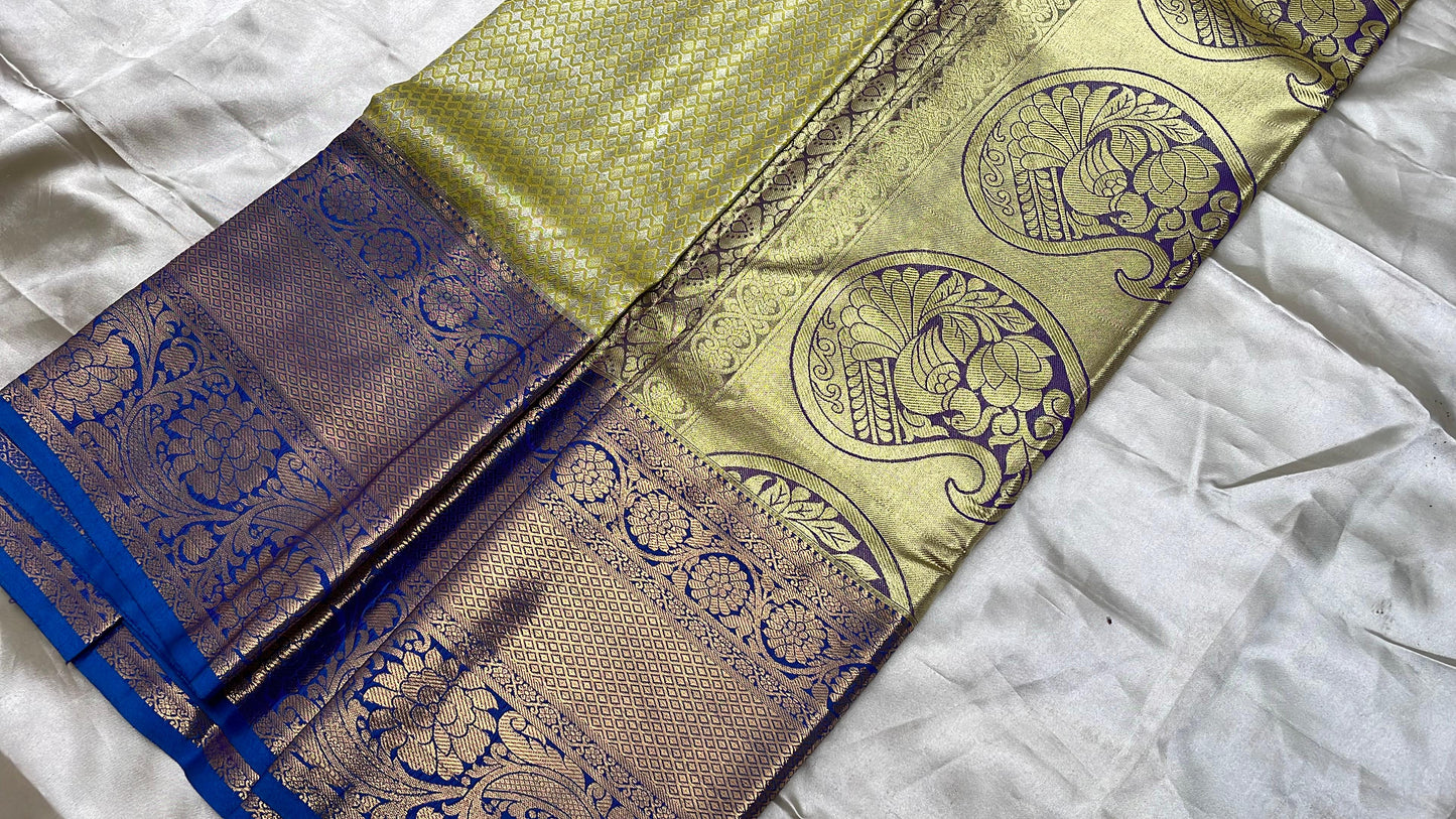 Tissue brocade saree